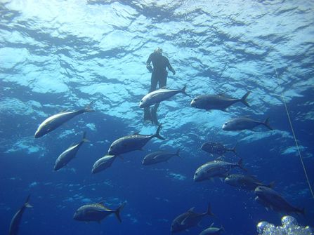 Komodo Island diving package