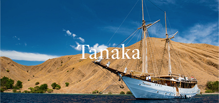 Komodo Liveaboard budget: How much to spend?