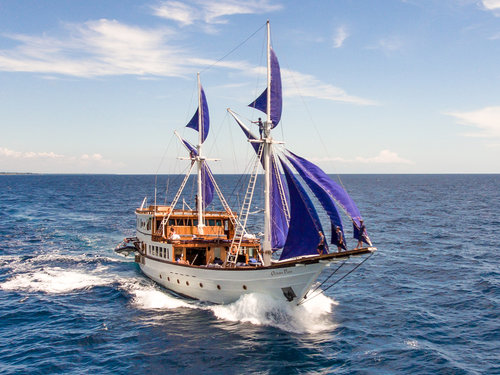 Planning Your First Komodo Cruise: Choosing the Cabins