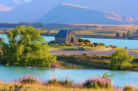 Travel tips to New Zealand