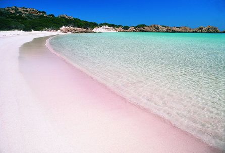 Pink beach at Komodo Island