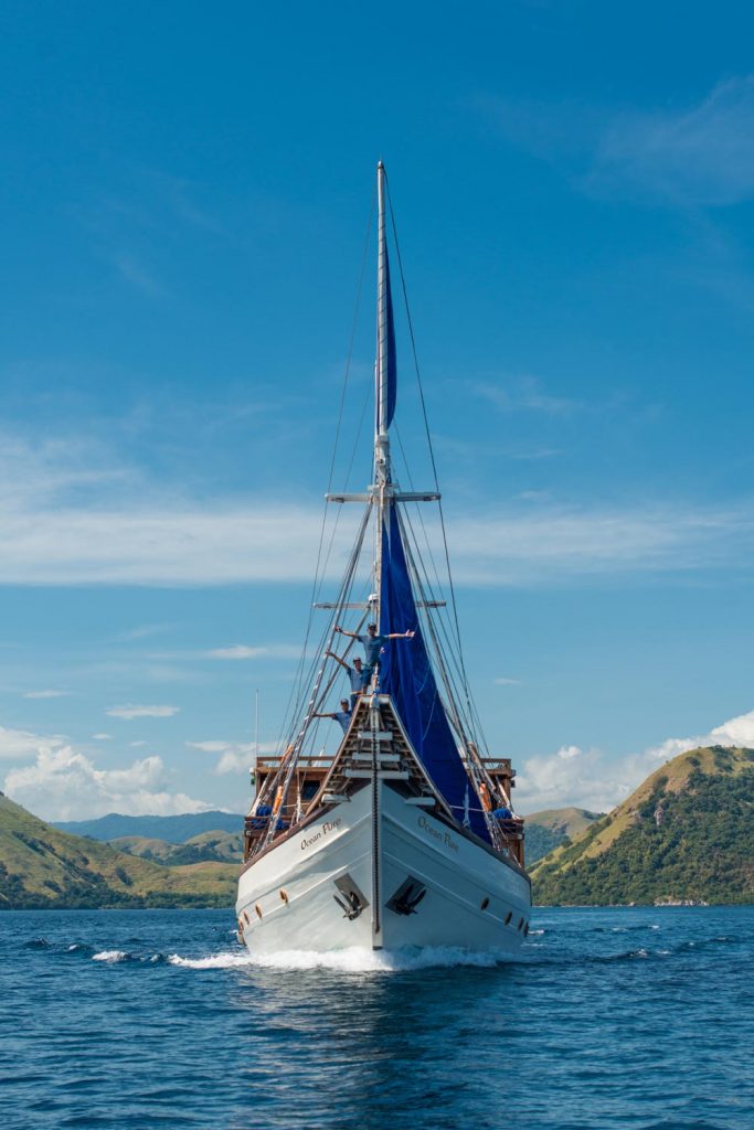 Komodo Liveaboard Facts You Probably Haven't Heard Before
