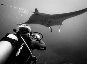 Bali Diving Spots